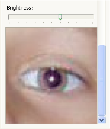 Eye brightness correction in Red Eye Pilot - brightness slider