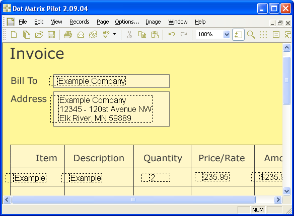 Form filler software for filling out blank forms on a dot-matrix/impact printer