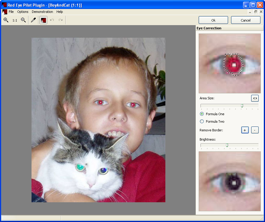 Plugin for red eye reduction