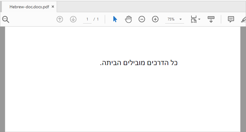 Hebrew text converted to pdf