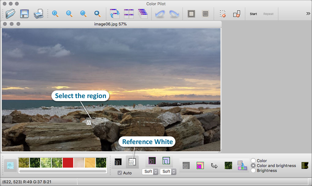 Choose the Reference White tool and select the region