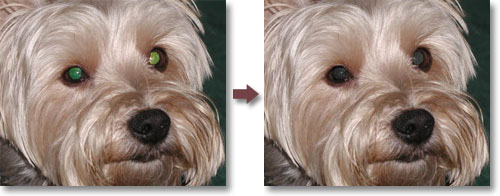 Pet Eye Pilot Plugin - Photoshop plugin for pet eye correction